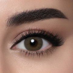 عدسات لنس مي بتروليوم - Petroleum