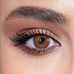 عرض عند شراء( 2 ) تحصل على ( 1 مجانا )عدسات دوللي R / 015