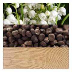 كالفين كلاين بيوتي - أو دي بارفيوم (نسائي) 30مل