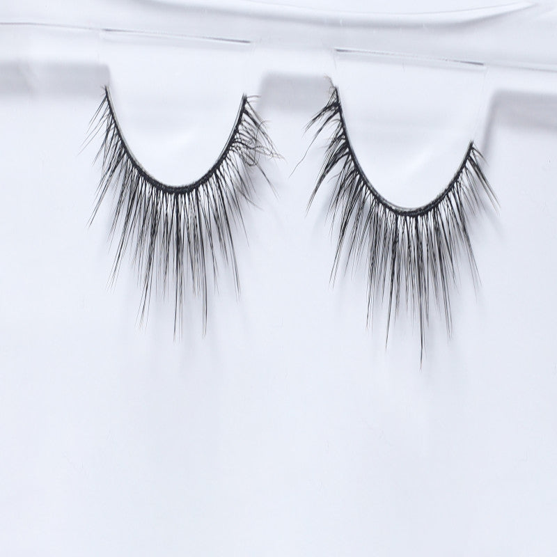 ويسبي ناتشورال لايت