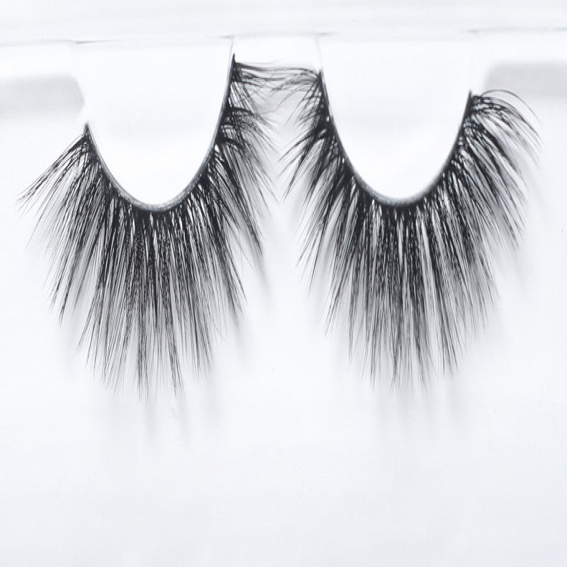 ويسبي كات اي