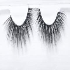 ويسبي كات اي