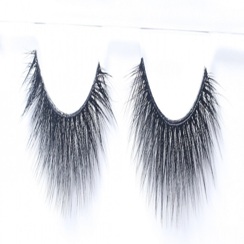 ويسبي دول فوول