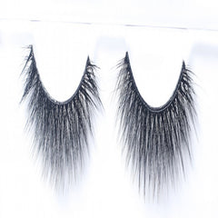 ويسبي دول فوول