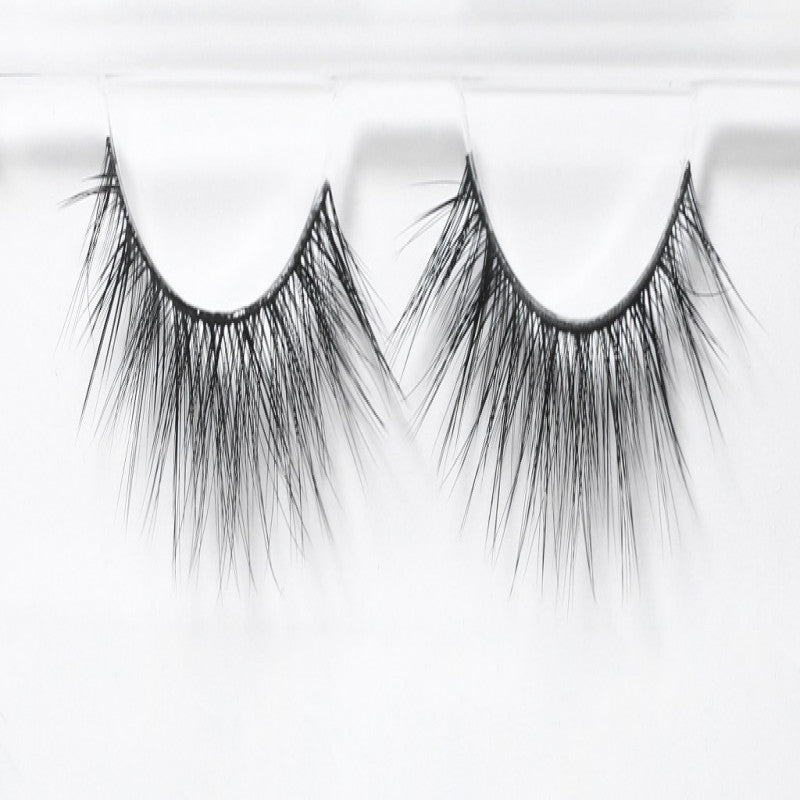 ويسبي كات اي لايت