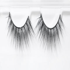 ويسبي كات اي لايت