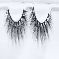 ويسبي ناتشورال دول