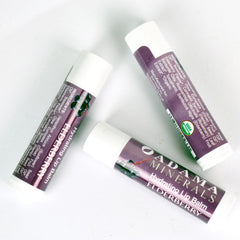 زيون هيلث - مرطب الشفاه برائحة  التوت البري 4.25 جم