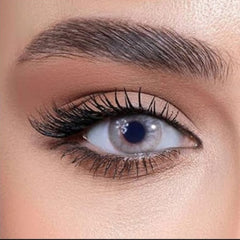 عدسة دوللي Y 022