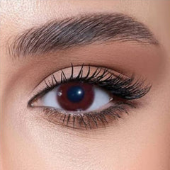 عدسة دوللي Z 023